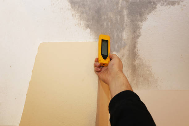 Asbestos and Lead Testing During Mold Inspection in Helmetta, NJ