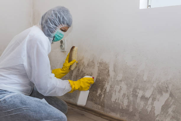 Best Air Quality Testing for Mold Spores  in Helmetta, NJ