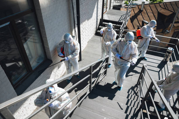 Best Post-Construction Mold Inspection  in Helmetta, NJ