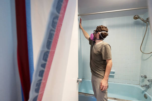Best Asbestos and Lead Testing During Mold Inspection  in Helmetta, NJ