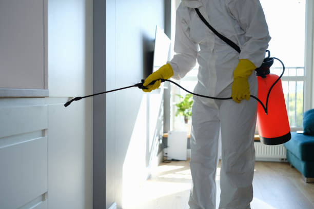 Best HVAC Mold Inspection and Cleaning  in Helmetta, NJ