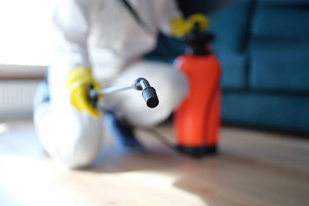 Best Mold Prevention Services  in Helmetta, NJ