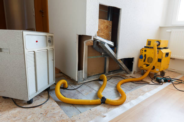Best Airborne Mold Testing  in Helmetta, NJ